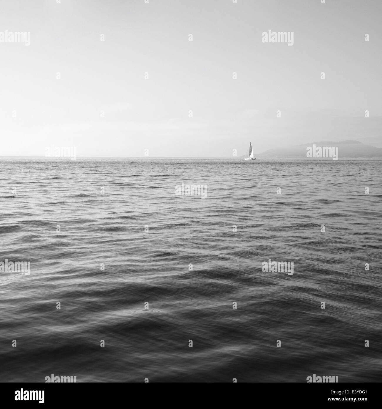 Segelboot am Horizont Puget Sound, Washington, schwarz und weiß Stockfoto
