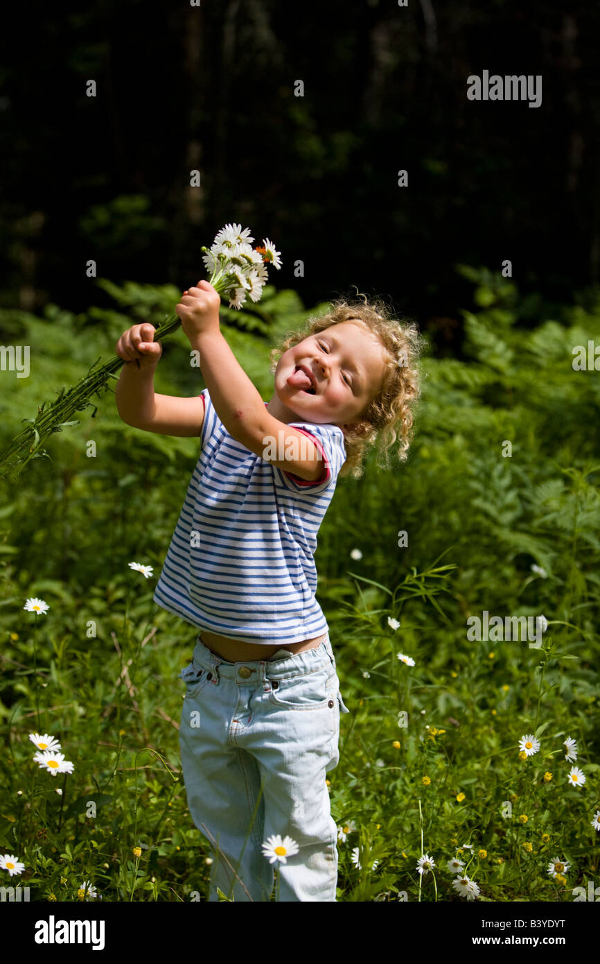 Ein junges Mädchen (4 Jahre) nimmt Daisy in Turner, Maine. (MR) Stockfoto
