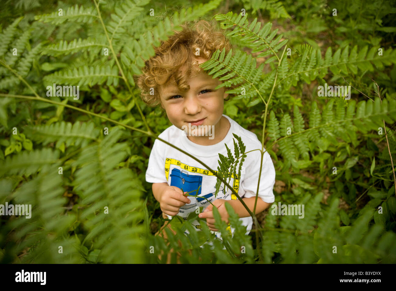 Ein kleiner Junge (4 Jahre) spielt unter den Farnen in einem Wald in Turner, Maine. (MR) Stockfoto
