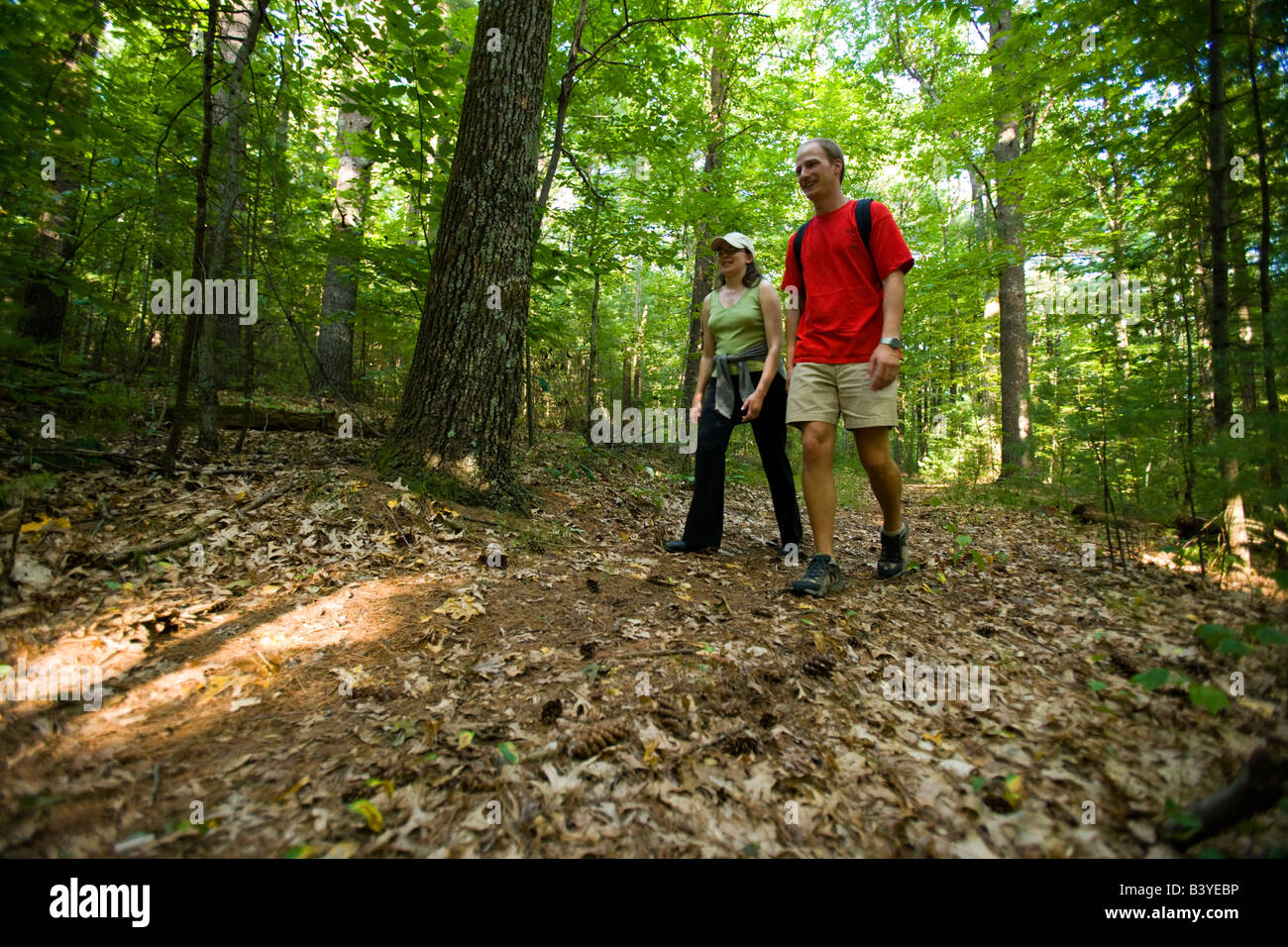 Wandern ein Waldweg in Pepperell, Massachusetts. Stockfoto