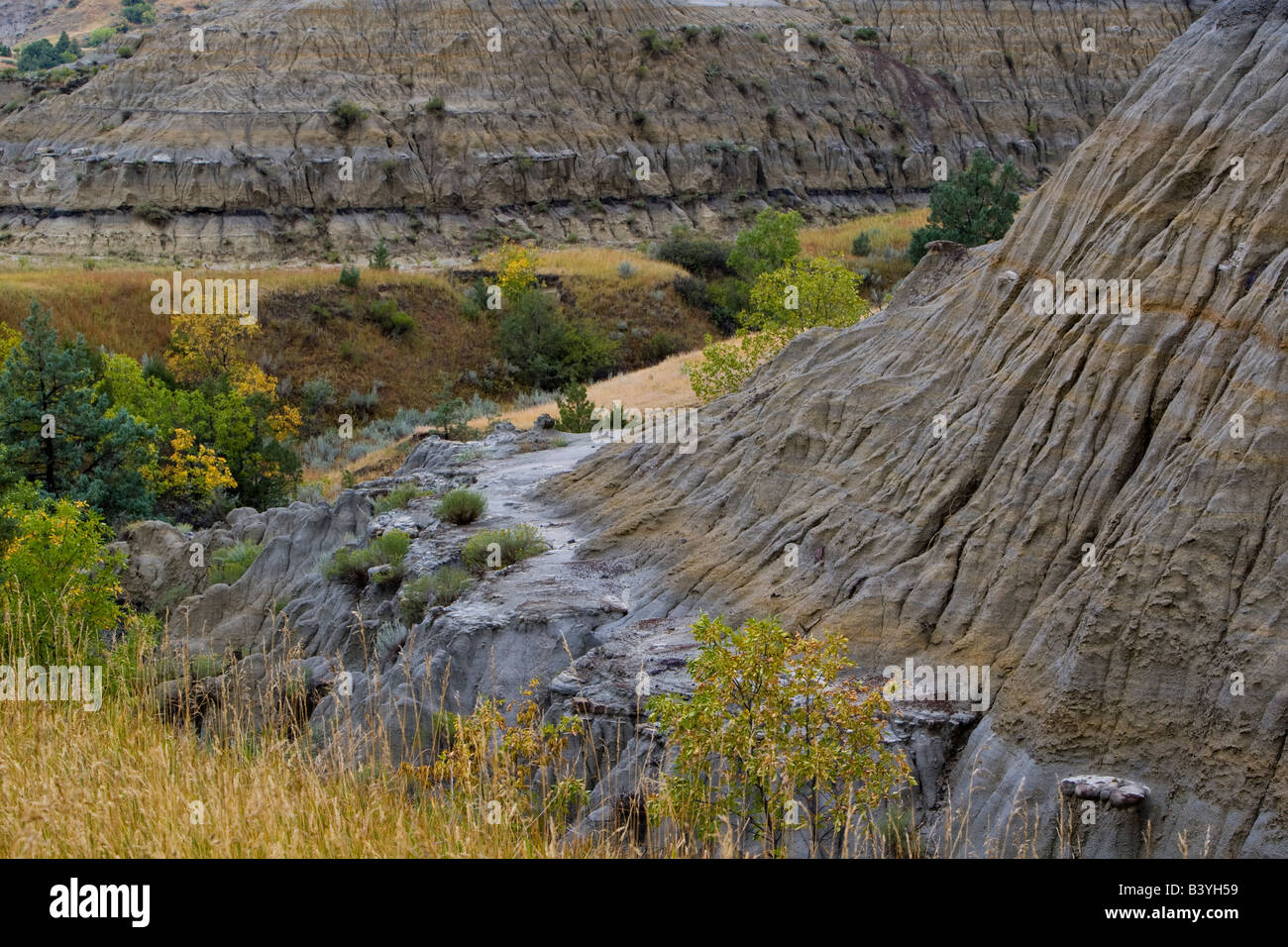 Badlands-Formationen in der Little Missouri National Grasslands von North Dakota Stockfoto