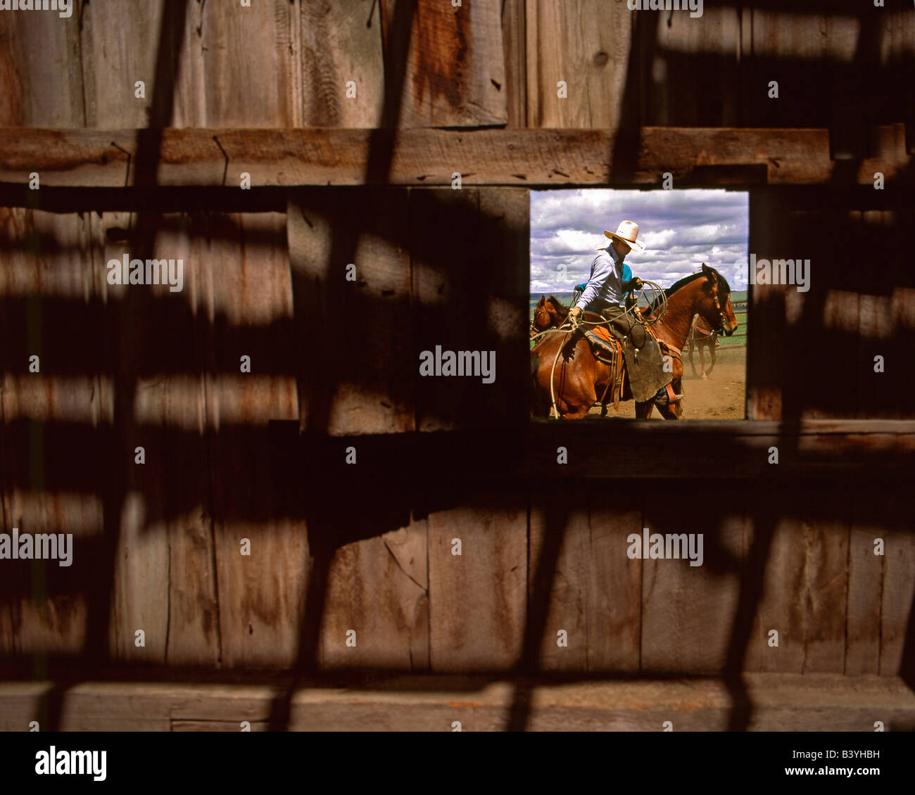 USA, Oregon, Jefferson County. Cowboy mit Lasso in Koppel durch alte Scheune Fenster betrachtet montiert. Stockfoto