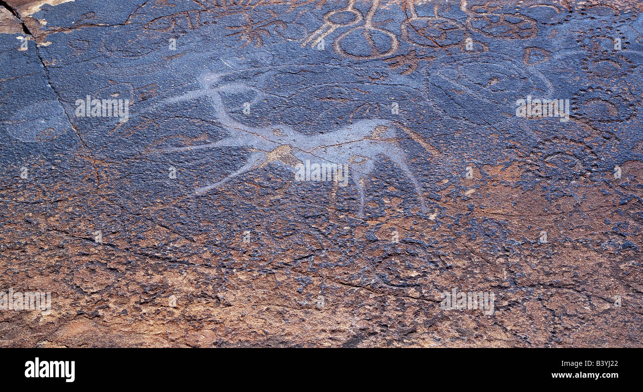 Namibia, Damaraland, Twyfelfontein. Eine interessante Panel von geometrischen Mustern und einer Gravur einer mythischen Figur - halb Tier, halb Mensch - auf der umfangreichen Website von 5.000 Felsgravuren Twyfelfonteins oder Petroglyphen. Twyfelfontein oder "Fraglich Frühling", hat eine kleine mehrjährige Feder, die seit undenklichen Zeiten zog eine große Anzahl von wilden Tieren und ein ideales Umfeld für San-Jäger, die ihre in diesem weitläufigen Felsen übersäte Ort etwa siebentausend Jahren Spuren geschaffen haben. Stockfoto