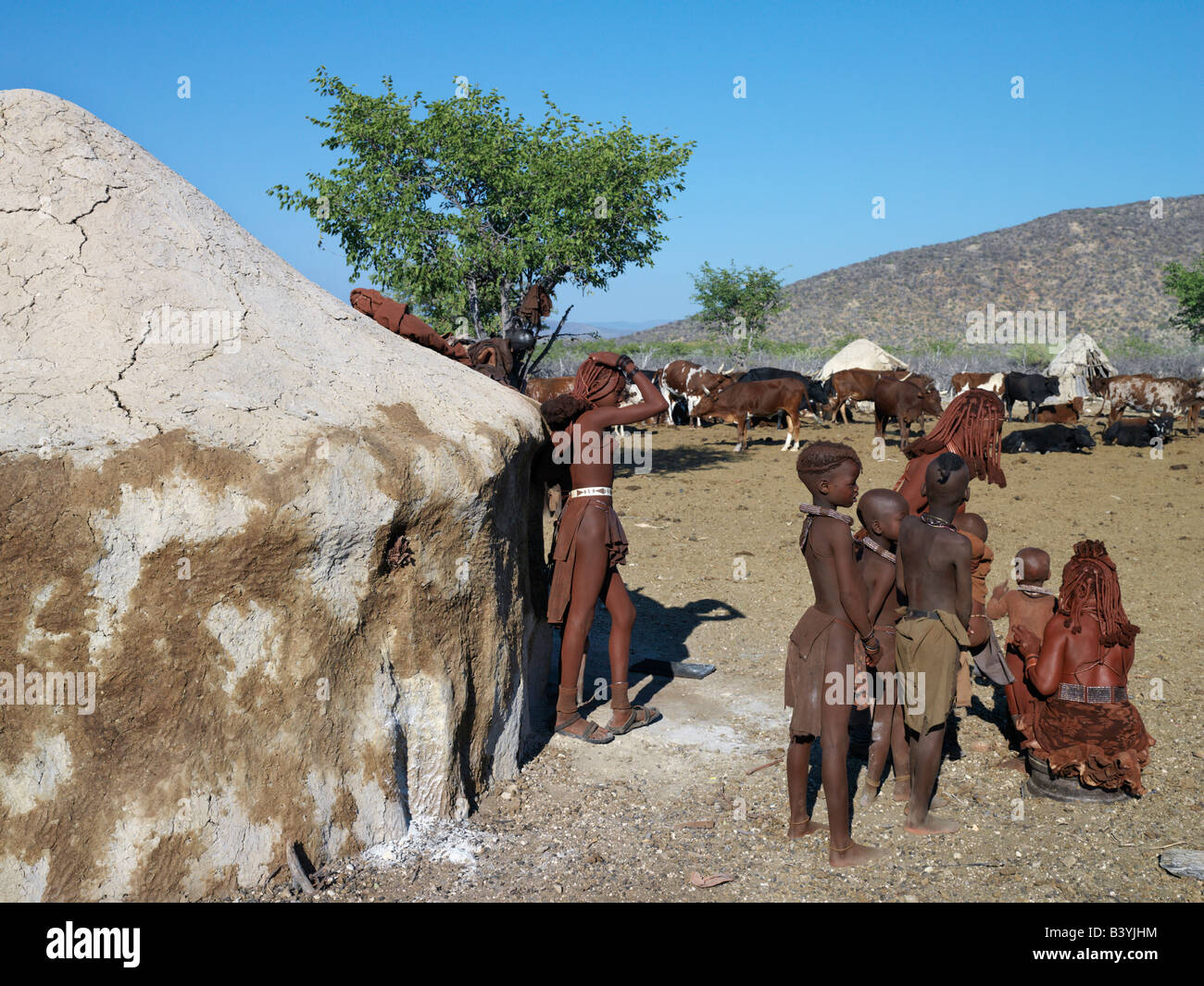 Namibia, Kaokoland. Eine Himba-Familie befasst sich mit ihrer Familie Vieh vor ihrem Haus. Das Haus ist mit einer Mischung aus verputzt. Stockfoto