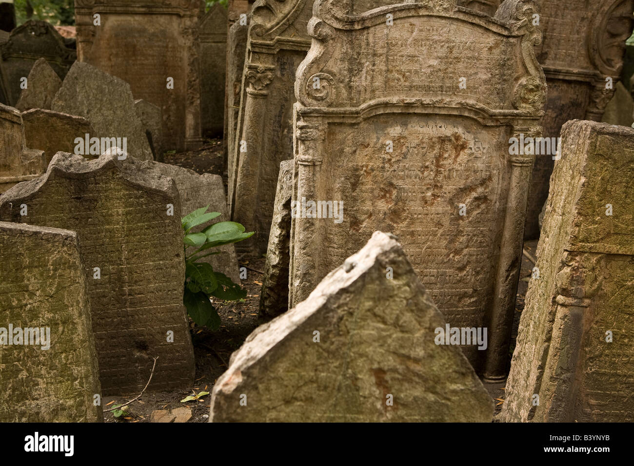 Grabsteine auf dem alten jüdischen Friedhof Stockfoto