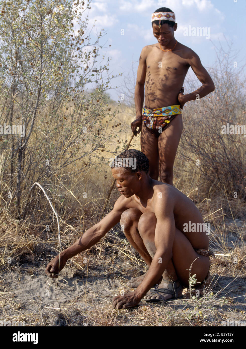 Namibia, östliche Buschmannland, Tsumkwe. Beobachtet von seinem Kollegen ein! Kung Jäger-sorgfältig setzt ein Perlhuhn Falle. Die Stockfoto