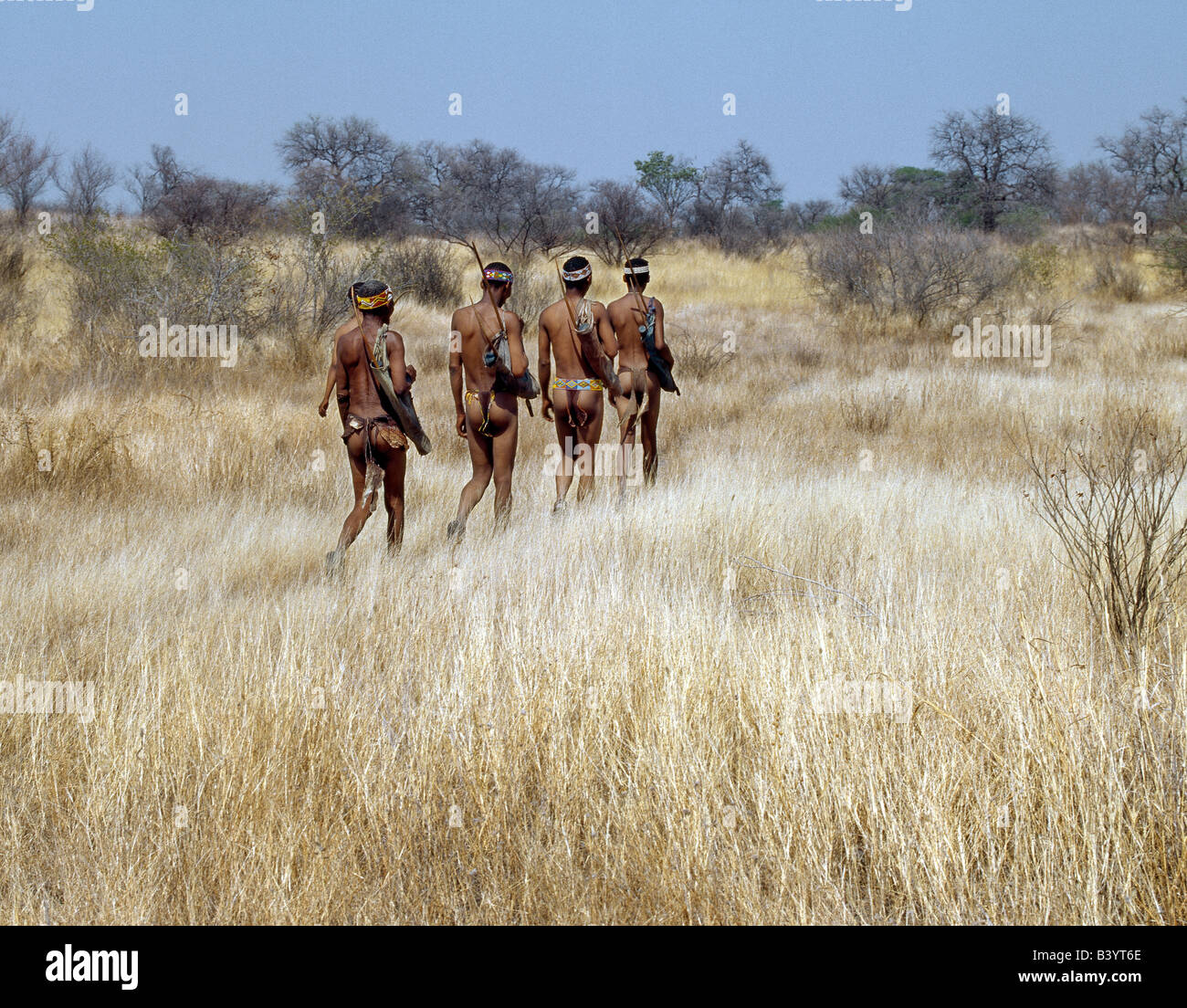Namibia, östliche Buschmannland, Tsumkwe. ! Kung-Jäger und Sammler-Spaziergang durch Meile auf Meile strukturlose Dorn Gestrüpp Landes in Stockfoto