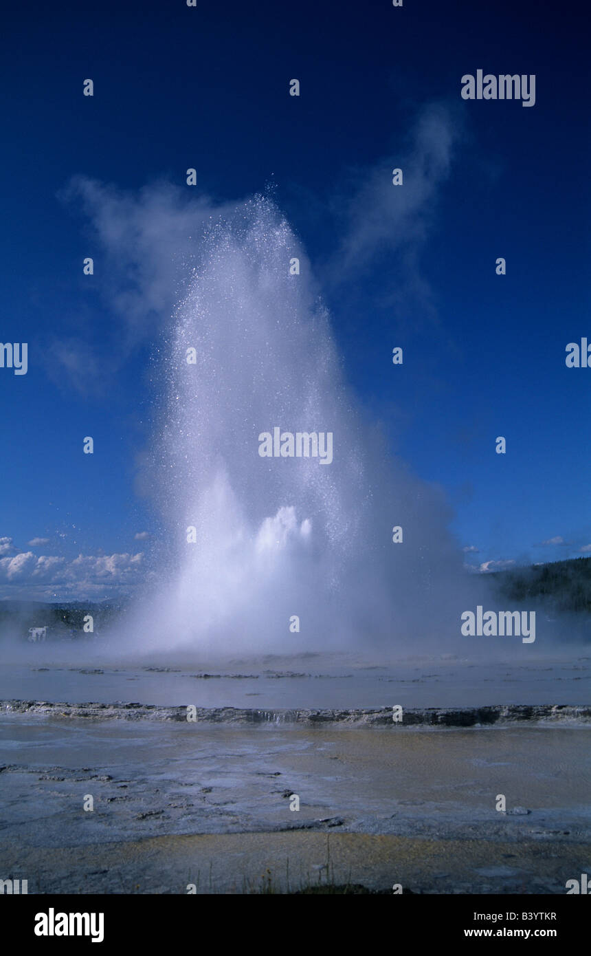 Großer Brunnen-Geysir, Yellowstone NP WY USA ausbrechenden Stockfoto