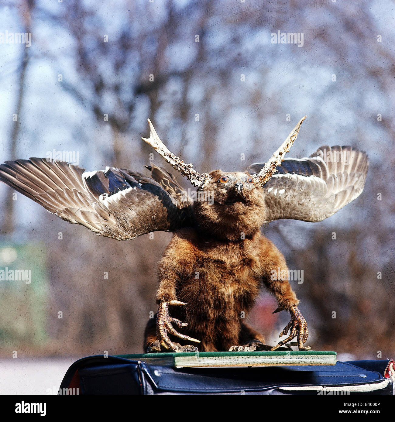 Geographie / Reisen, Deutschland, Bayern, / Folkloretradition, Wolpertinger, alpine Fabelwesen, Stockfoto