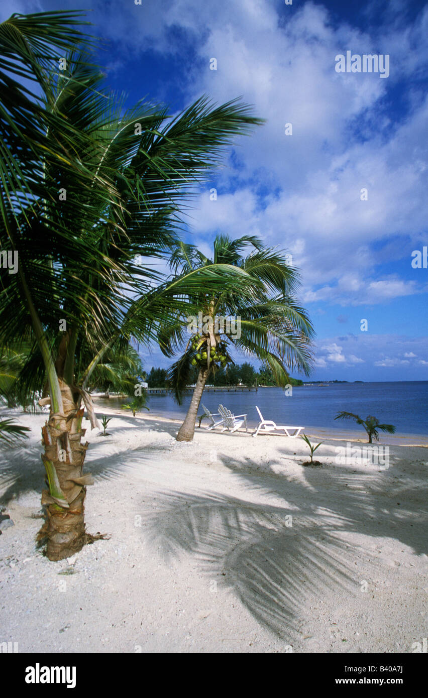 Tropischer Strand mit Palmen und bewölktem Himmel an der Südküste von Utila, Honduras Stockfoto