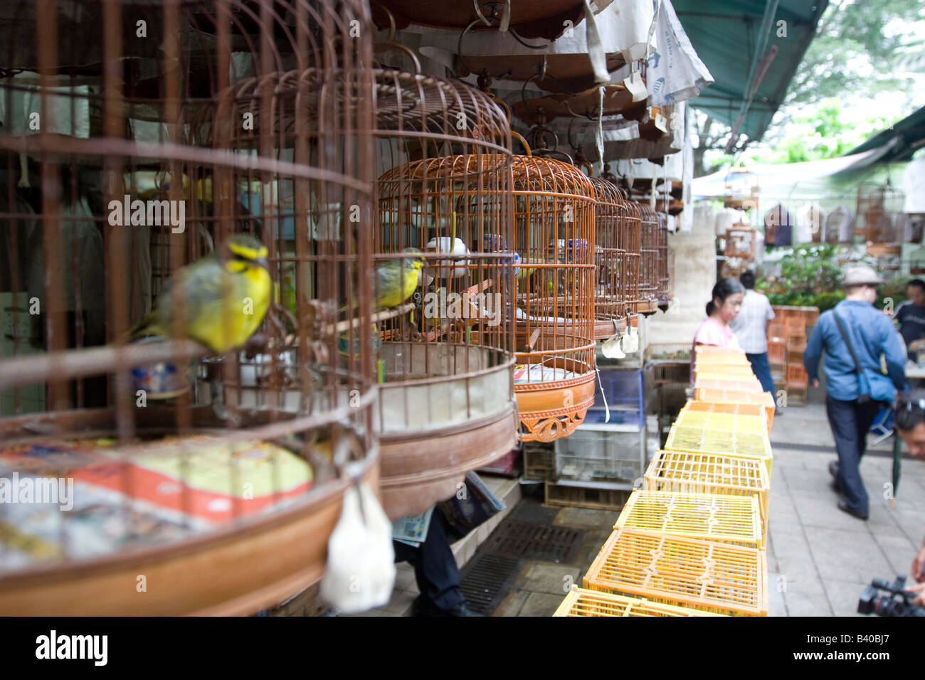 Vogelkäfige auf den Vogel Markt in Hongkong Stockfoto