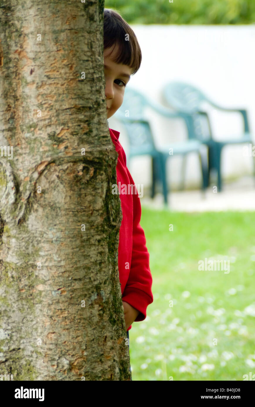 junge versteckt sich hinter einem Baum mit einem lustigen Ausdruck Stockfoto