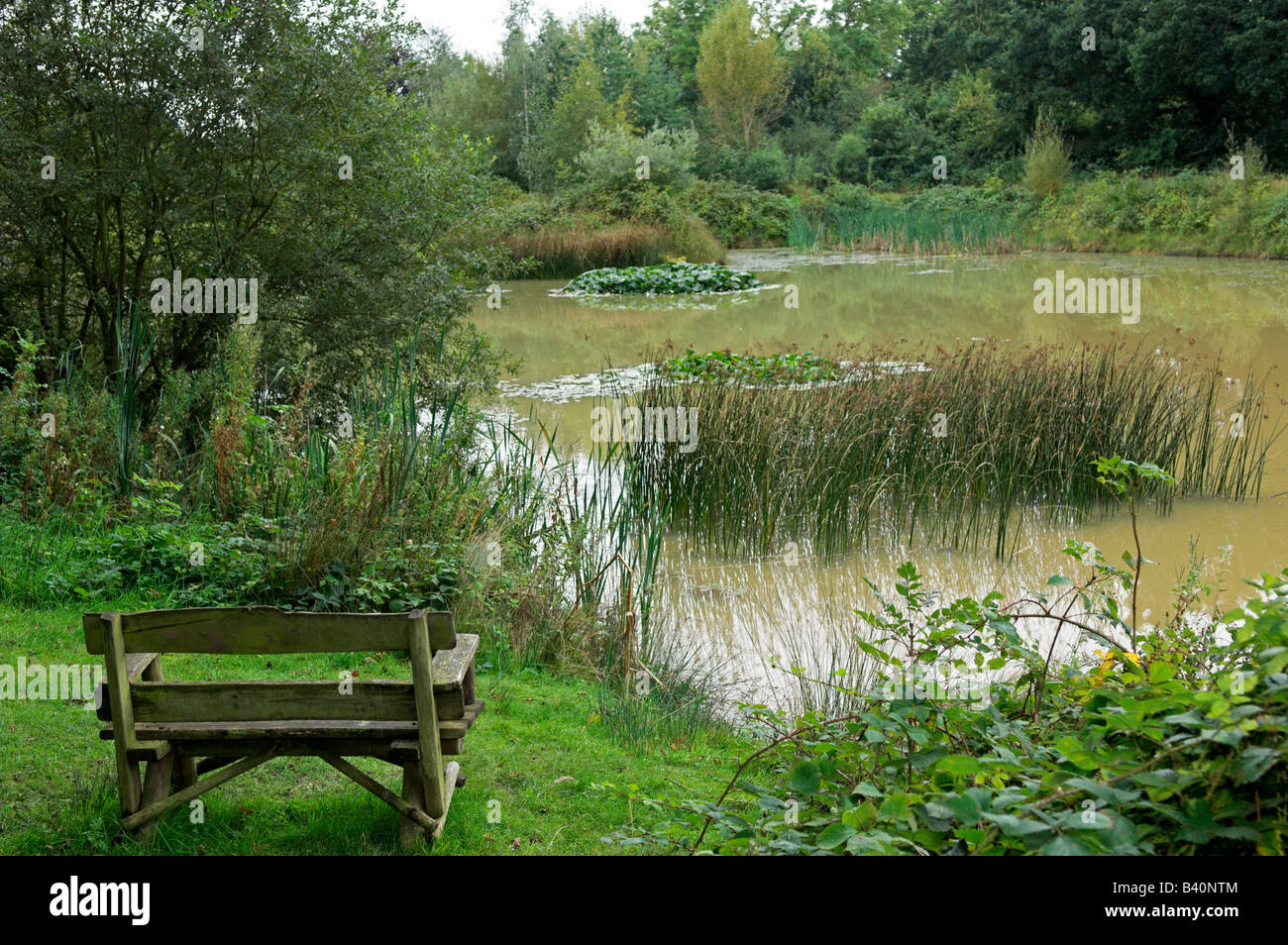 Leere Holzsitz von kleinen Landschaft See Gloucestershire UK Stockfoto