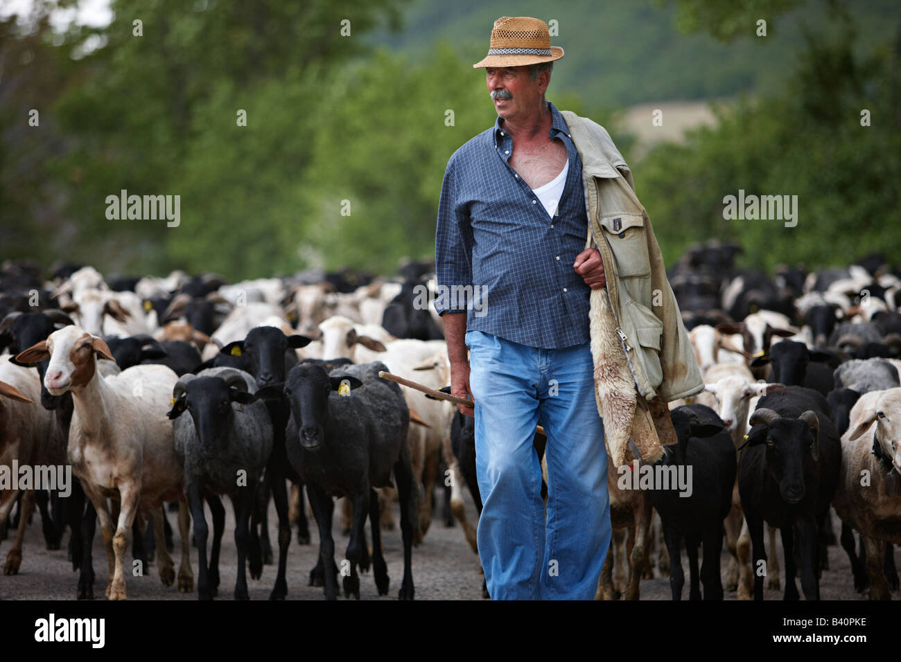 Santino, ein umbrischen Schäfer mit seiner Herde in der Nähe von Campi, Valnerina, Umbrien, Italien Stockfoto