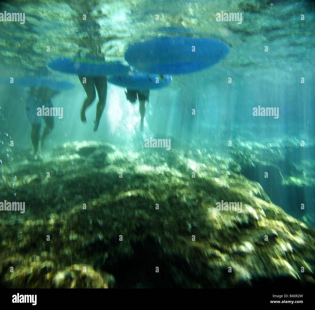 Knollen geben Sie das klare Wasser des Ginnie Springs vor schweben auf der Santa Fe River, Florida Stockfoto Knollen geben Sie das klare Wasser des Ginnie Springs vor schweben auf der Santa Fe River, Florida Stockfoto
