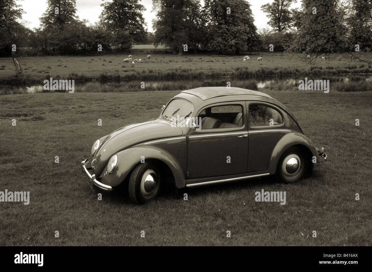 VW Käfer 1951. Auto Auto classic cool Stockfoto