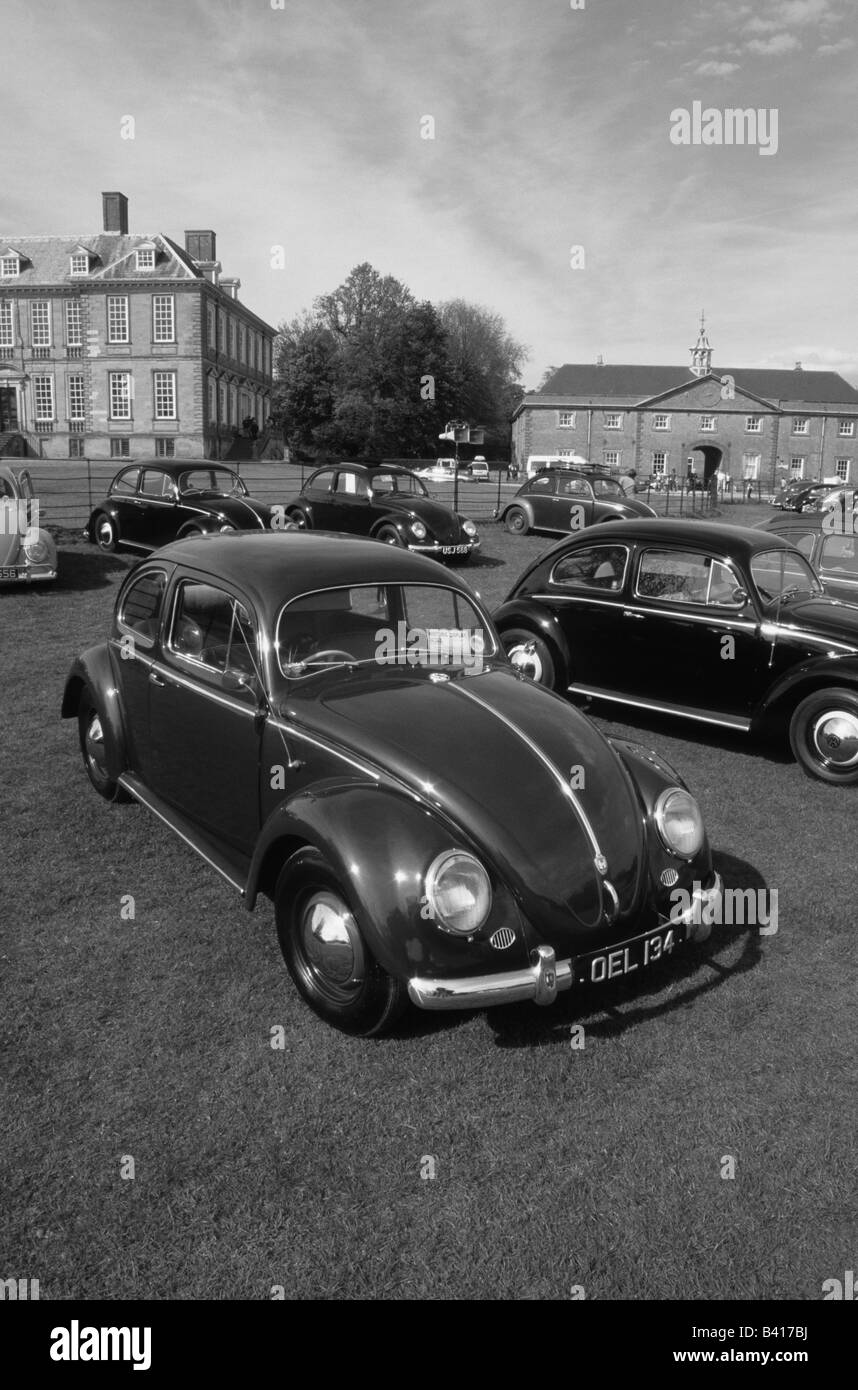 Volkswagen Käfer. Stanford Hall-Rallye 2003. Auto Auto classic Cool ikonischen Stockfoto