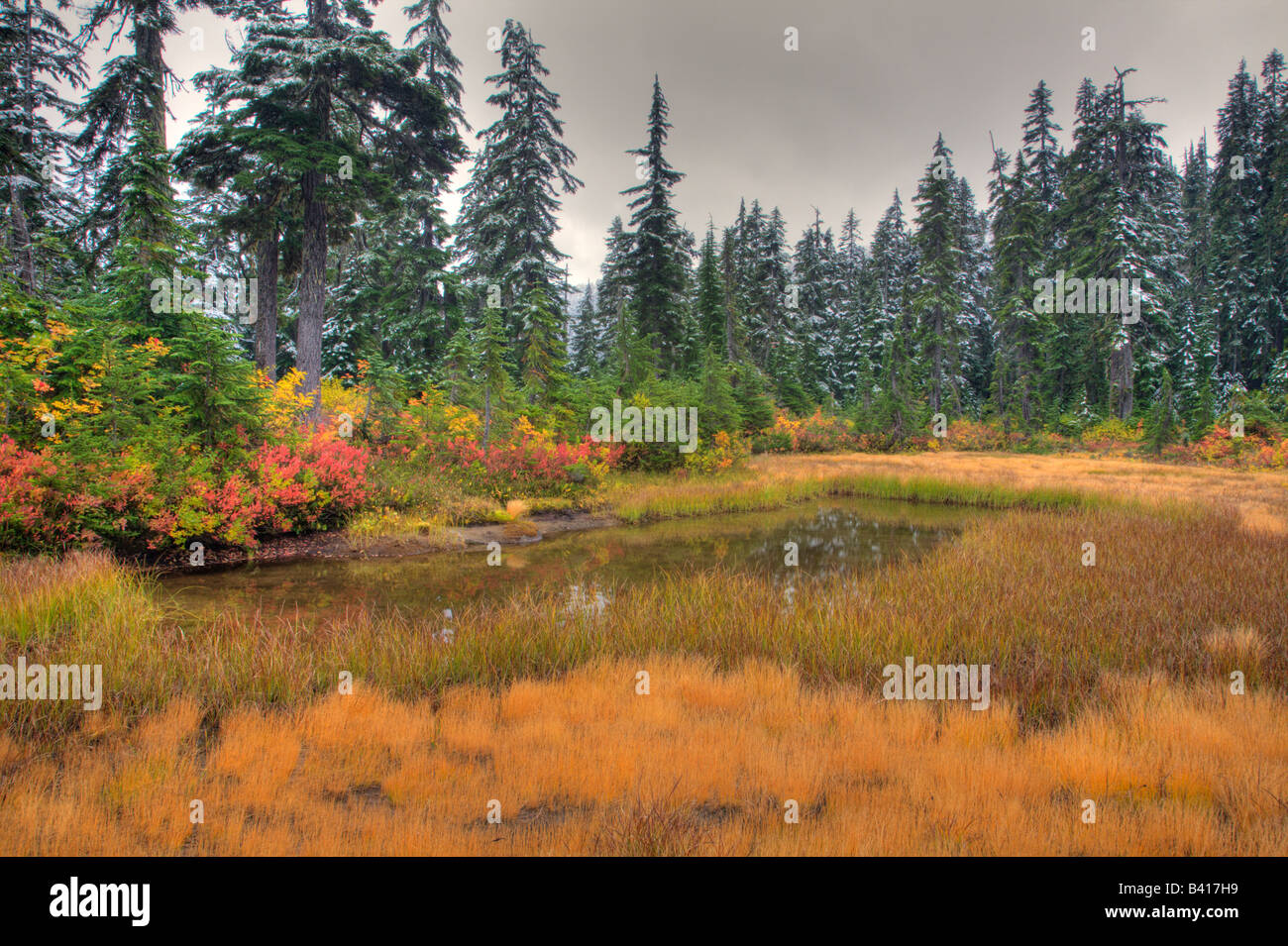 WA, Henry M. Jackson Wilderness, Alpine Tarn und Wiese Stockfoto