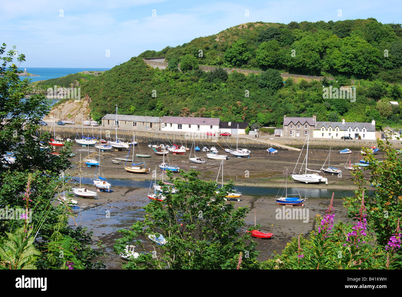 Blick auf Stadt und Hafen von Fishguard, Pembrokeshire Coast National Park, Pembrokeshire, Wales, Vereinigtes Königreich Stockfoto