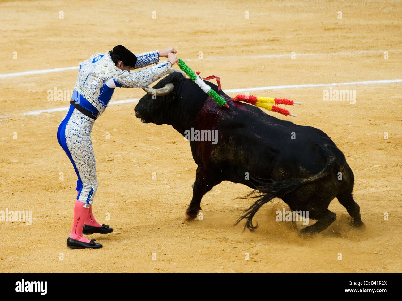 Banderilleros ersticht Stier beim Stierkampf in Spanien Stockfoto