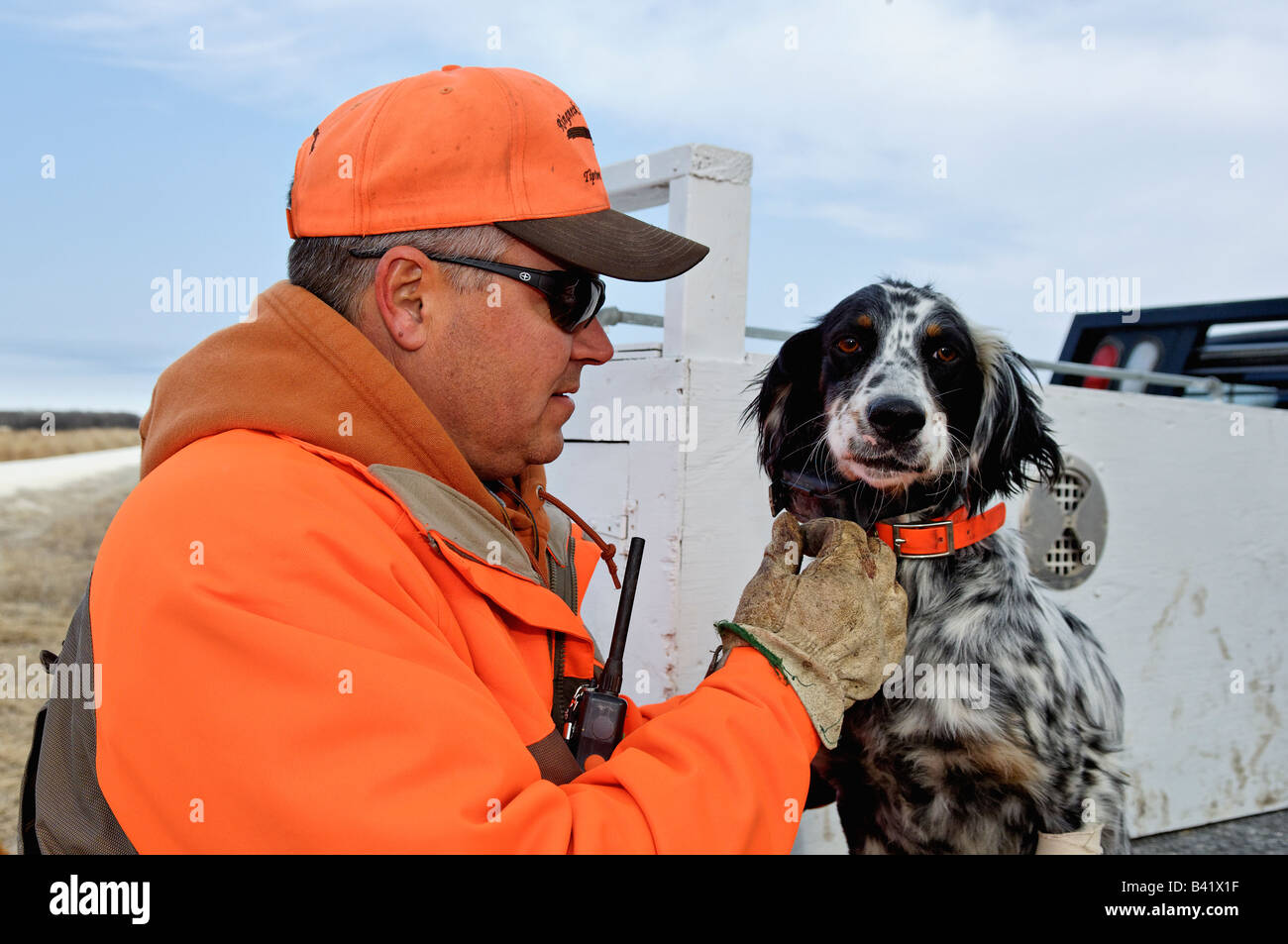 Hochland Bird Hunter mit Englisch Setter Kansas Stockfoto