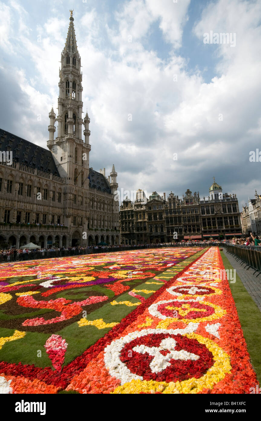 Grand-Place von Brüssel mit dem traditionellen größte Blume-Teppich-Jahr 2008 Stockfoto