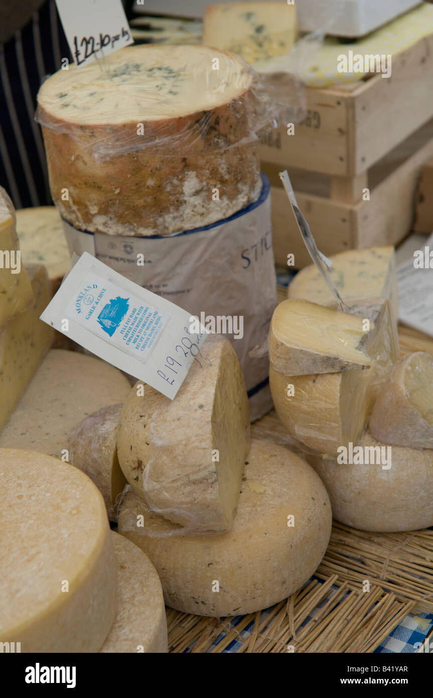 Monkland Spezialist Artisan Käse zum Verkauf an das Food Festival Ludlow Shropshire England UK Stockfoto