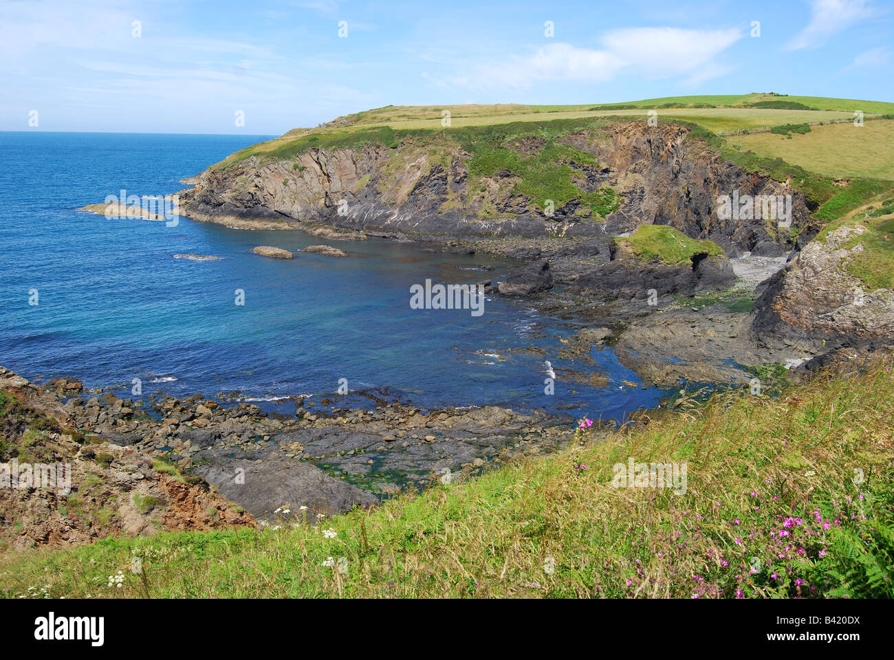 Kleine Bucht in der Nähe von Trefin, Pembrokeshire Coast National Park, Pembrokeshire, Wales, Vereinigtes Königreich Stockfoto