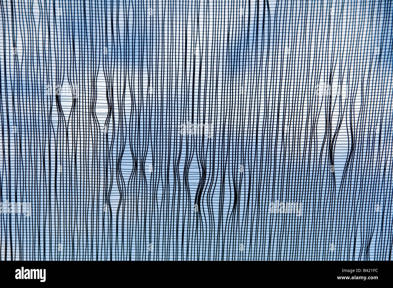 Partielle Öffnungen im Bild des Schmetterlings Scheune mit Sommerhimmel im Hintergrund Stockfoto