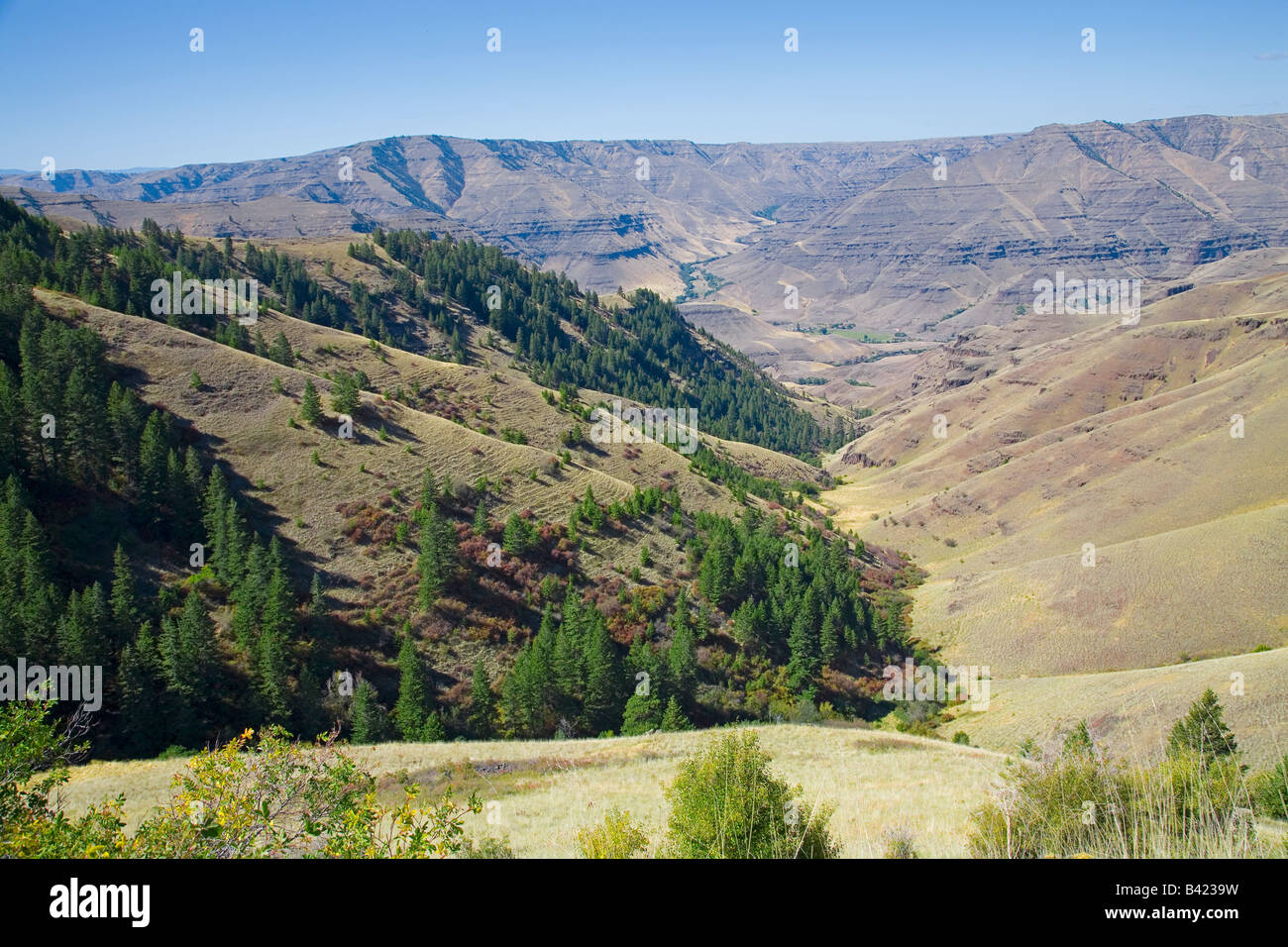 Ein Blick auf die Inmaha Schlucht oder Canyon in der Nähe von Hells Canyon National Recreation Area Stockfoto