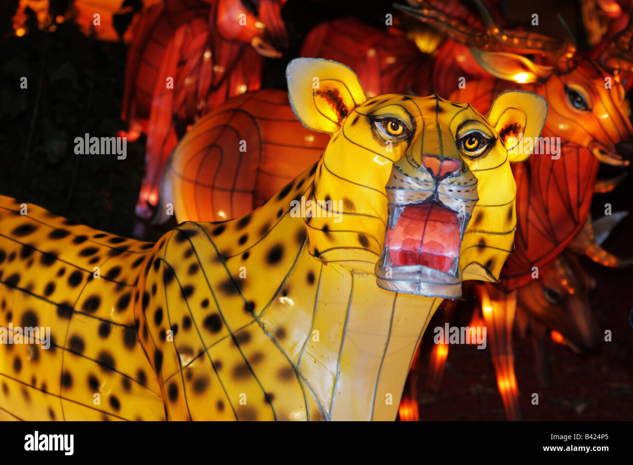 Leopard unter Tiere von Afrika in 2008 Toronto chinesische Laternenfest mit Handwerk Laternen von Zigong Sichuan China Stockfoto Leopard unter Tiere von Afrika in 2008 Toronto chinesische Laternenfest mit Handwerk Laternen von Zigong Sichuan China Stockfoto