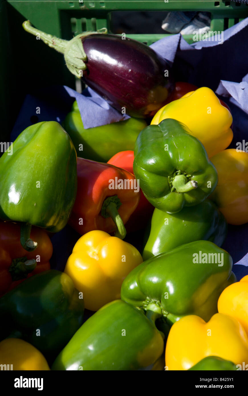 Kiste mit roten, gelben und grünen Paprika mit Aubergine sitzen auf einem Tisch am Samstag Bauernmarkt. Stockfoto