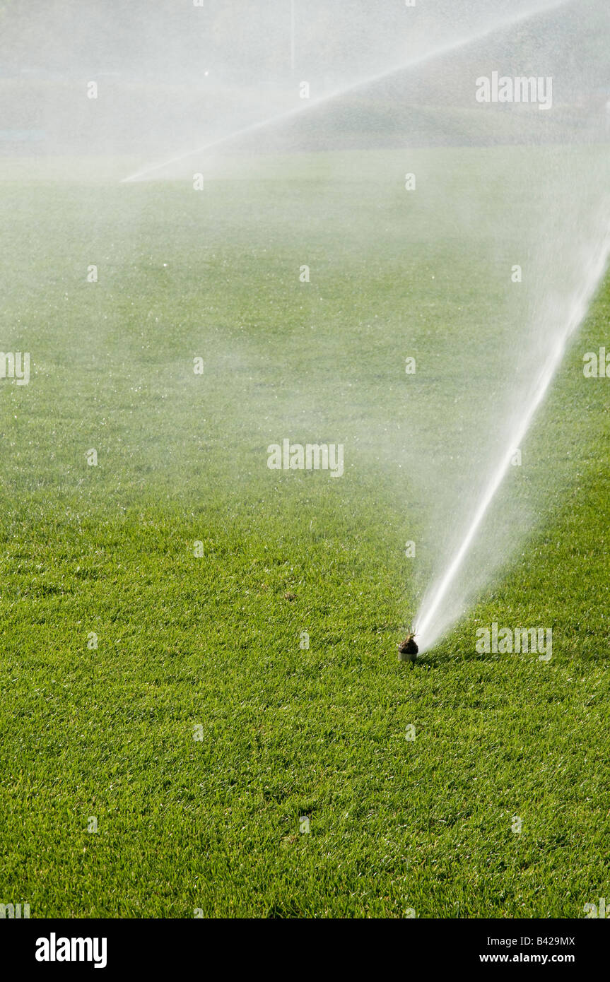 Zwei Sprinkler in der Nähe und viel Wasser ein Fußballfeld im Frühjahr Stockfoto
