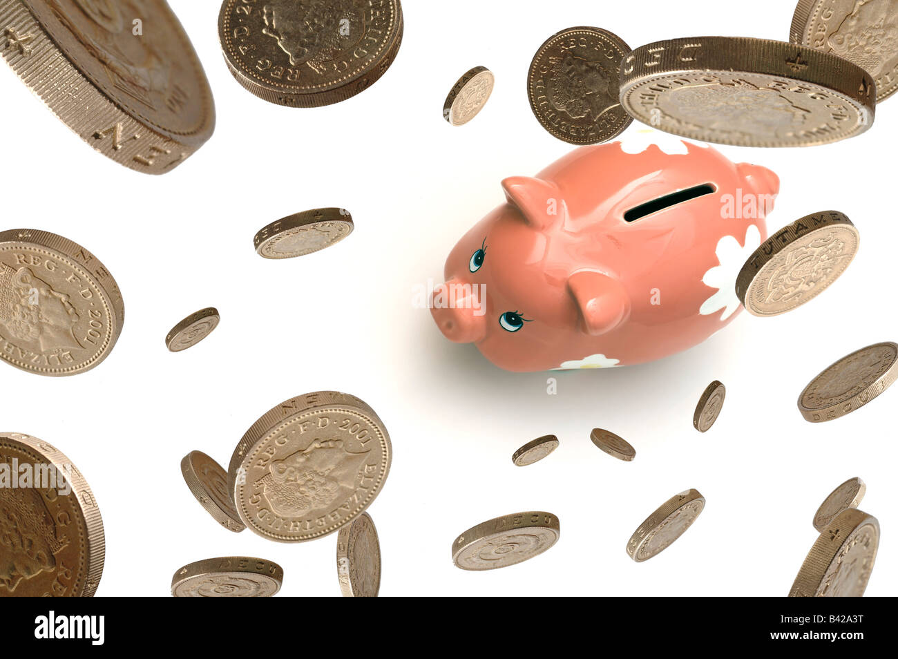 Stirling-Pfund-Münzen fallen auf ein Sparschwein Stockfoto
