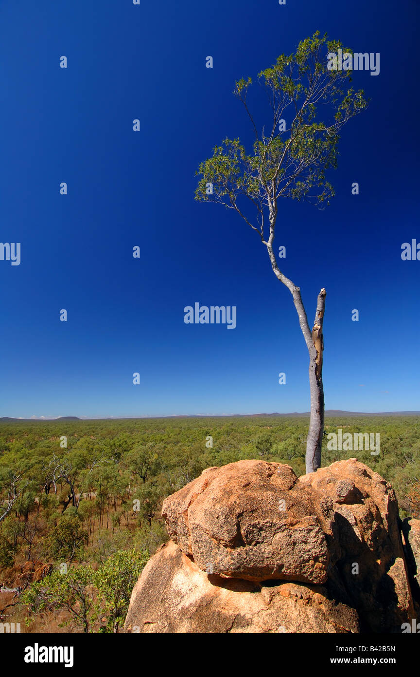 Outback-Landschaft von Undara Volcanic Nationalpark, Queensland, Australien Stockfoto