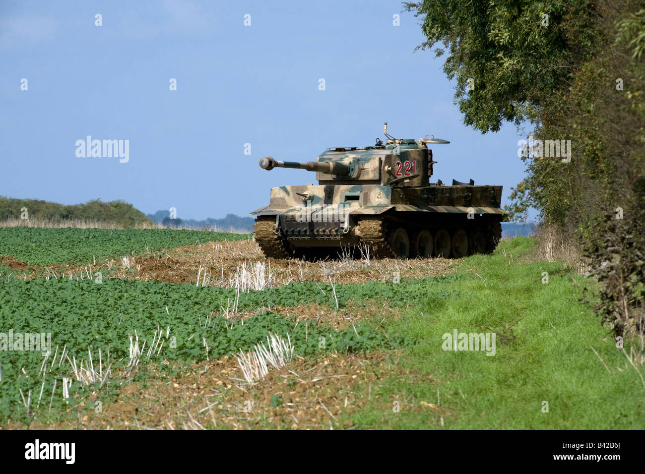 Deutschen Tiger-Panzer des zweiten Weltkriegs kreuzt ein Feld der jungen Pflanzen in eine Nachstellung der Schlacht am Spanhoe Flugplatz, Northamptonshire Sept 2008 Stockfoto