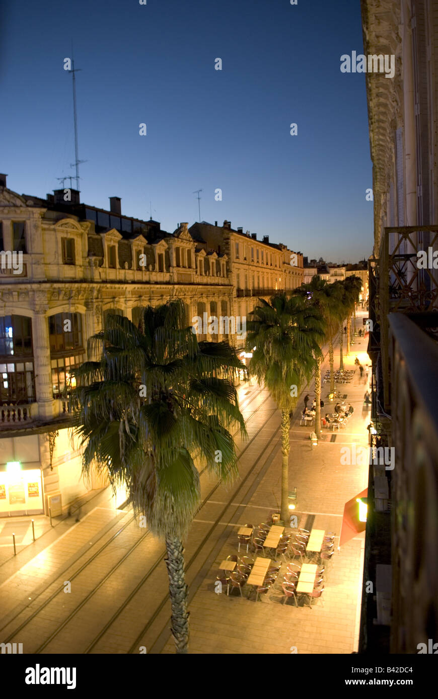 malerische Ansicht eines Montpelliers Palmen gesäumten Hauptstraßen nachts Stockfoto