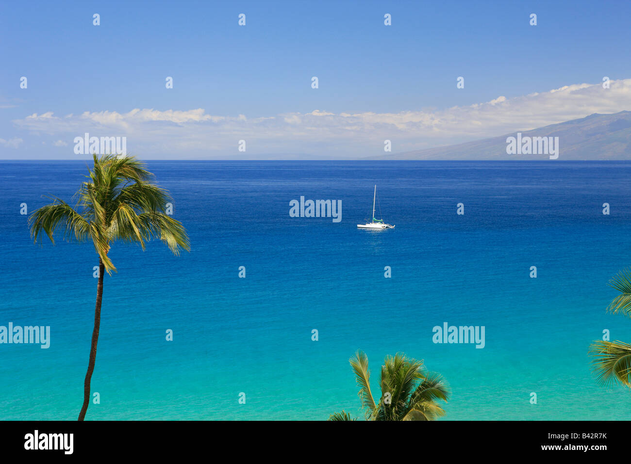 Palmen gesäumten Strand auf Hawaii Maui Pacific Hawaii USA Stockfoto