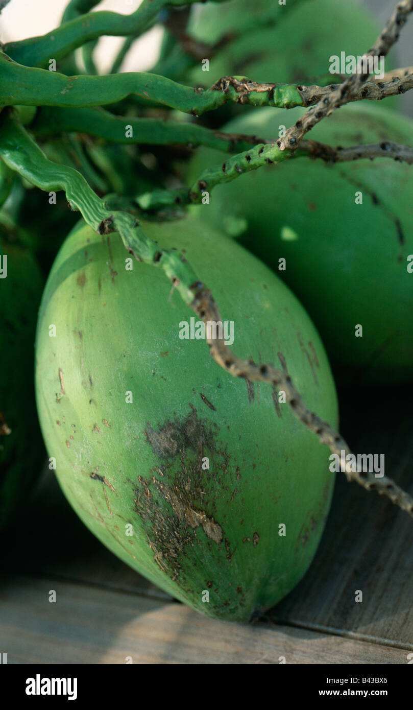 Grüne Kokosnuss Stockfoto