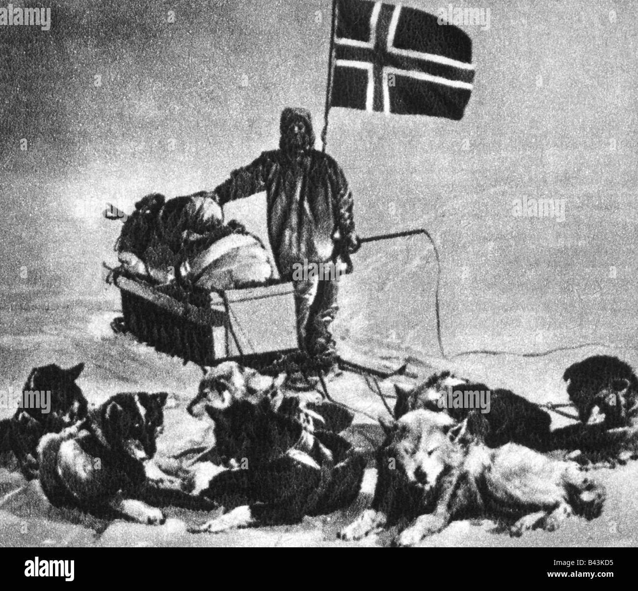 Amundsen, Roald 16.7.1872 - Juni 1928, norwegischer Entdecker, Hoist norwegische Flagge, 16.12.1911, antarktis, Südpol, Dogsled, Hundeschlitten, Stockfoto
