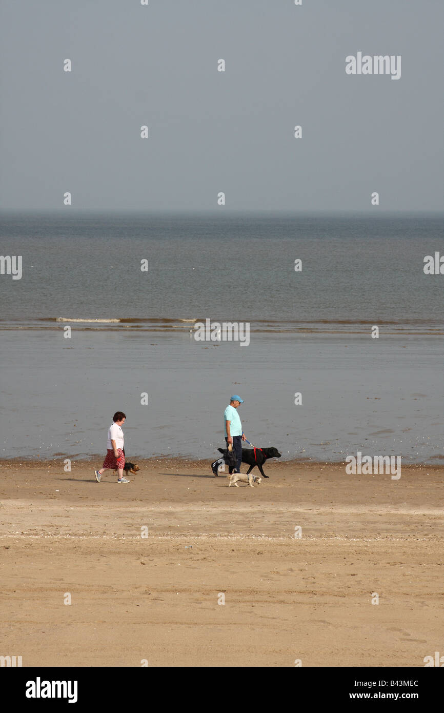 Hund Spaziergänger an einem Strand in Lincolnshire, England, Vereinigtes Königreich Stockfoto