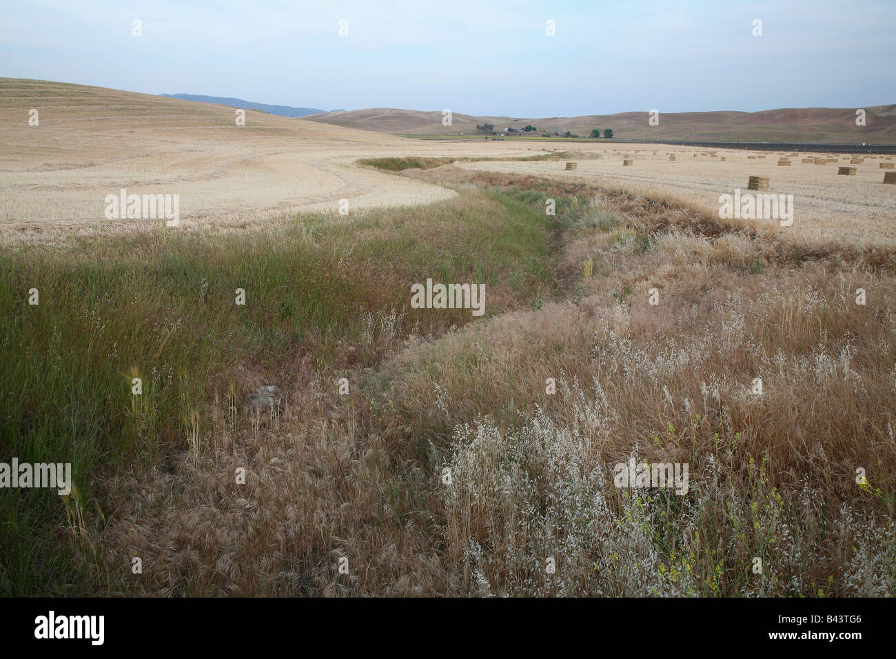 Kurvenreiche Graben durchzieht Farm und Heu Bails. Stockfoto