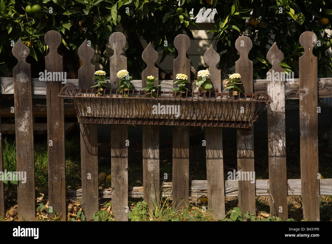 blumenkasten mit gestell  STANDARD SUPPLY Pflanzkasten mit Gestell  Urban Gardening  BUTLERS