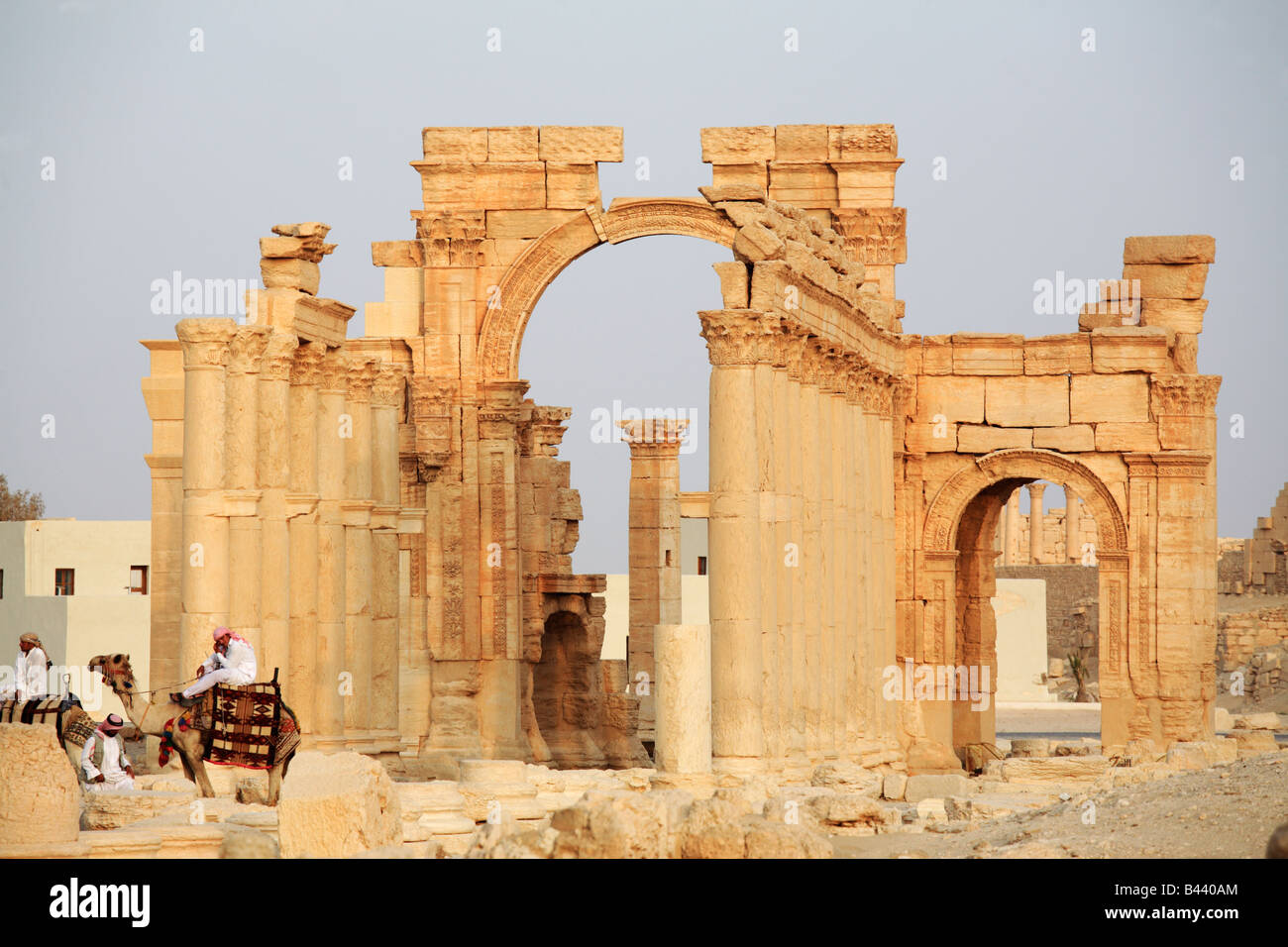 Kamele bei den Ruinen von Palmyra, Syrien Stockfoto