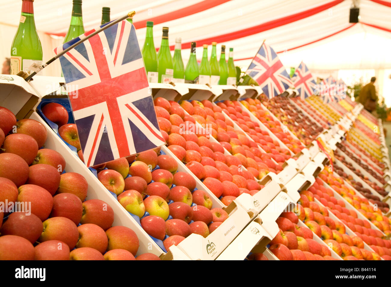 Preisgekrönte bio Obst und Gemüse auf dem Display Stockfoto