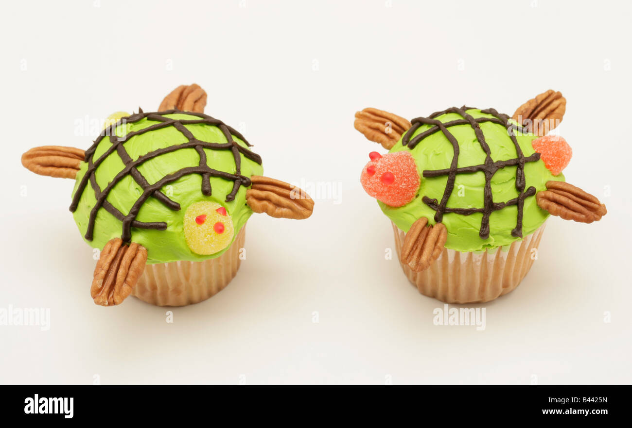 Zwei Schildkröte cupcakes Stockfoto