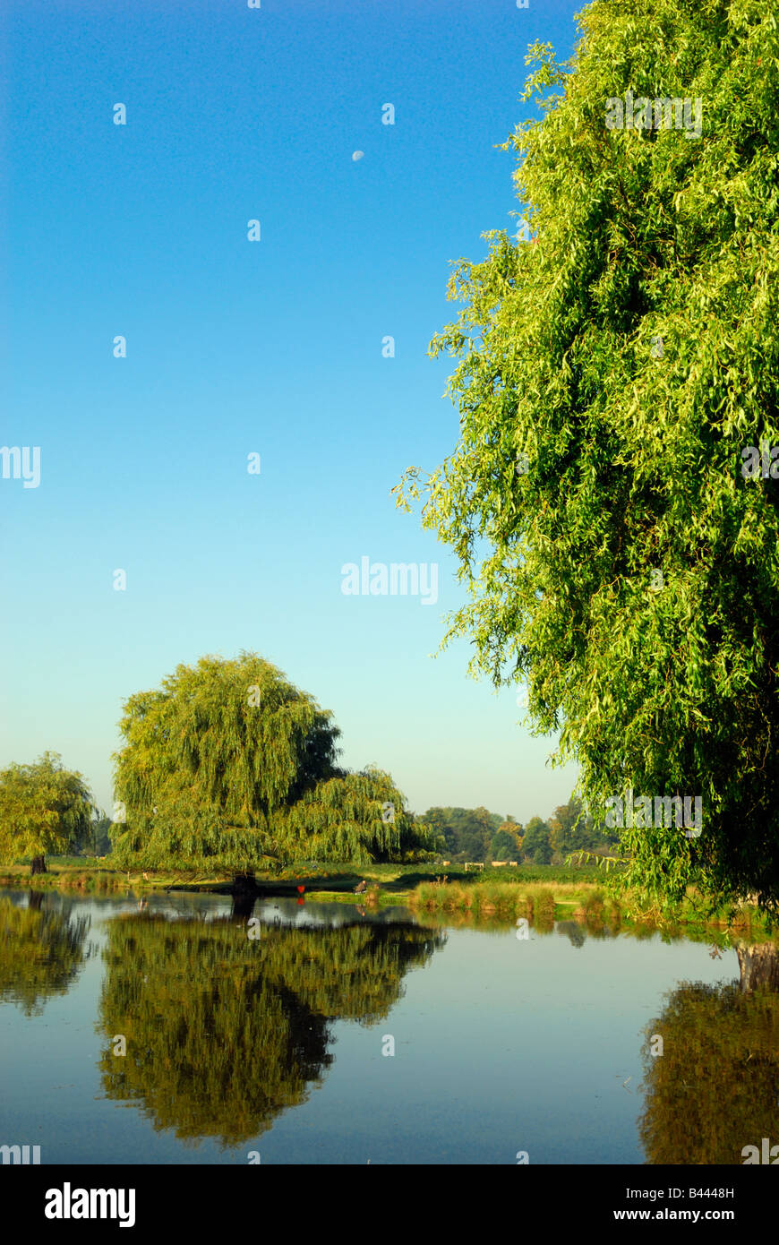 See in Bushy Park, London, mit kleinen halb Mond hoch am blauen Himmel Stockfoto