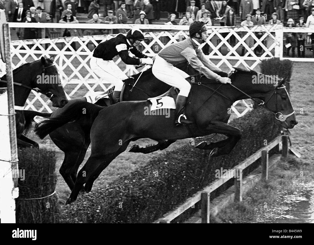 Prinz Charles Pferderennen Januar 1981 Reiten Allibar bei Ludlow Rennen Stockfoto