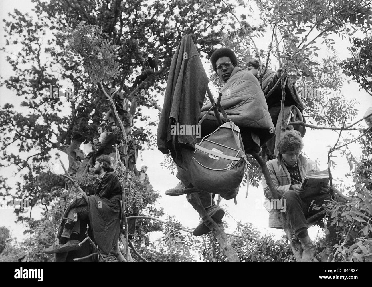 Hippies, die Isle Of Wight Festival vom Baum 1969 beobachten Stockfoto