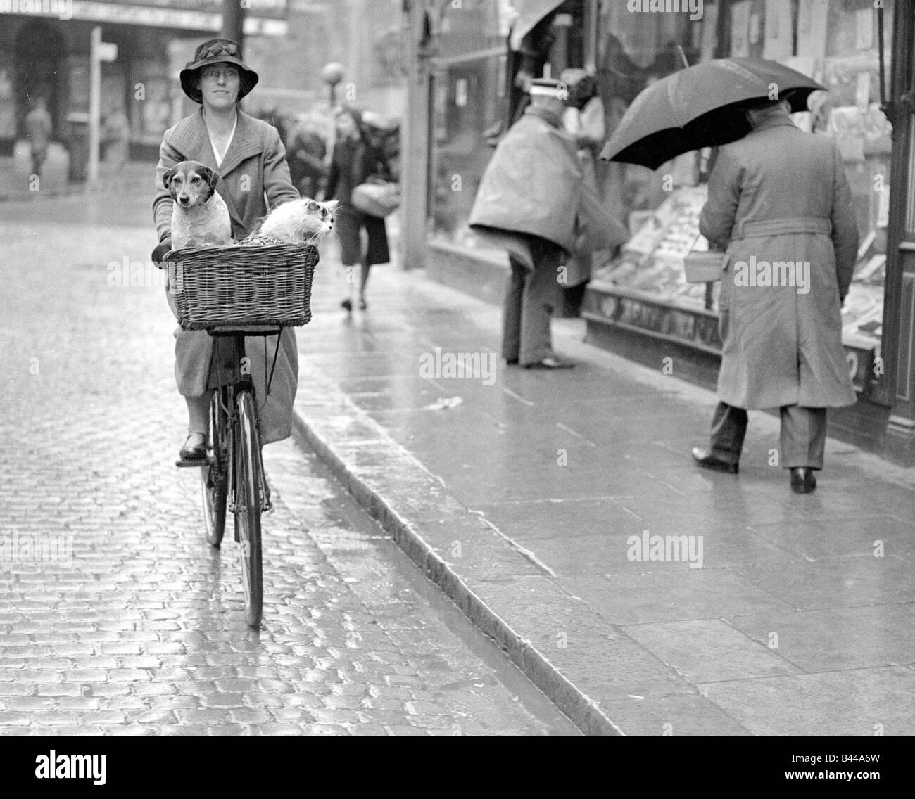 Mädchen reiten auf einem Fahrrad Carring, ein Hund und eine Katze in einem Korb ca. 1940er Jahre Stockfoto